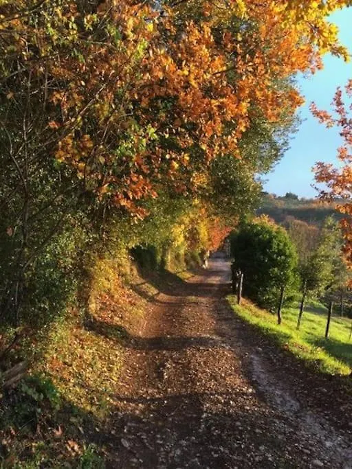 Agriturismo Policleto Hotel Santo Stefano A Tizzano Italy