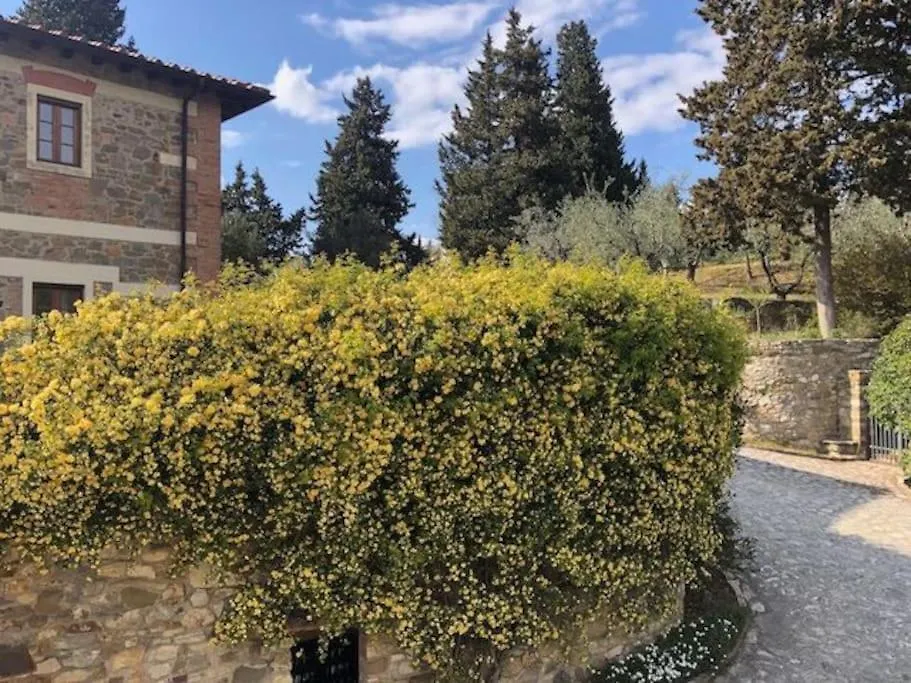 Agriturismo Policleto Hotel Santo Stefano A Tizzano 0*,  Italy